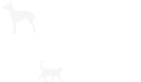 Pet Shopping TV