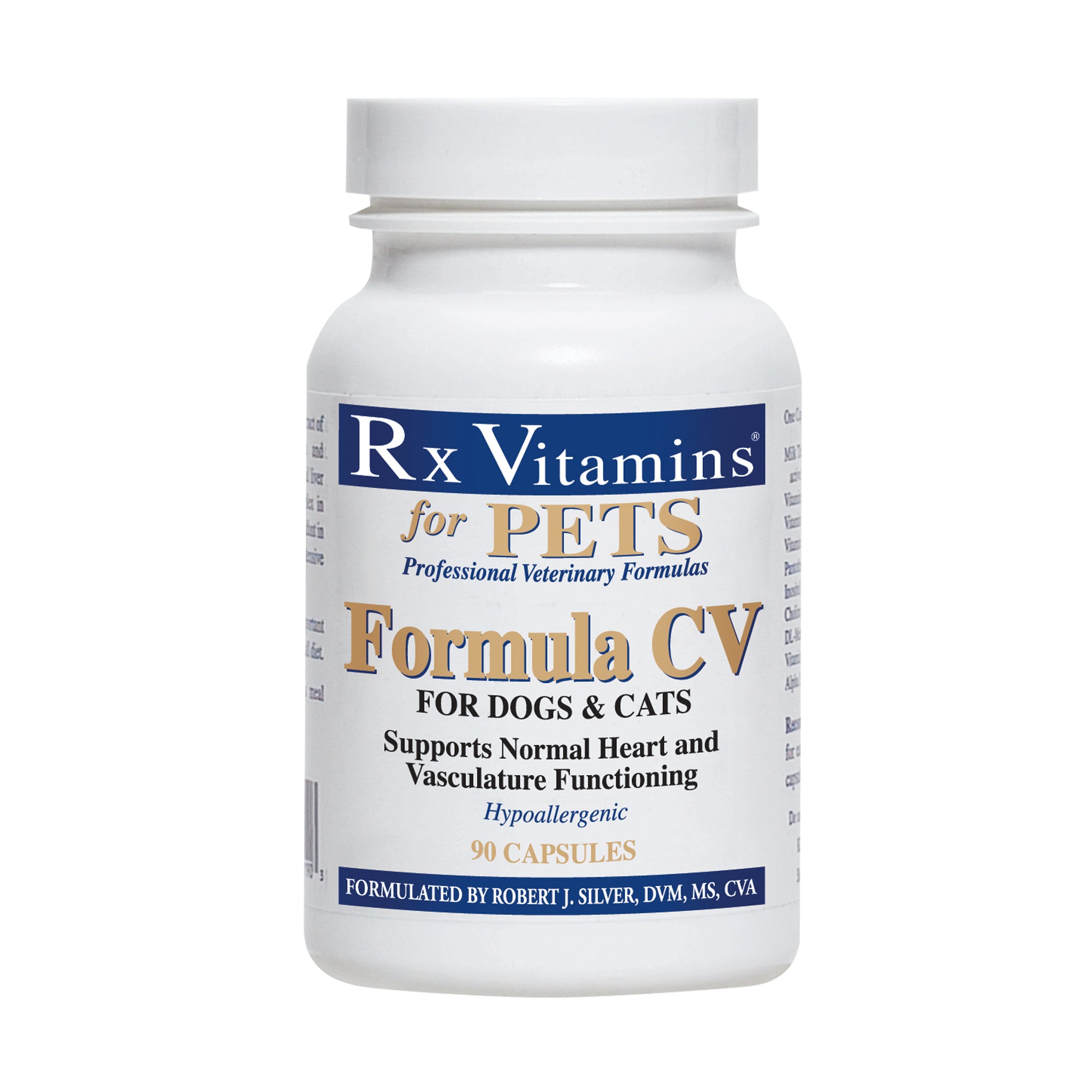 FORMULA CV