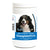 Healthy Breeds Bernese Mountain Dog All In One Multivitamin Soft Chew 120 Count