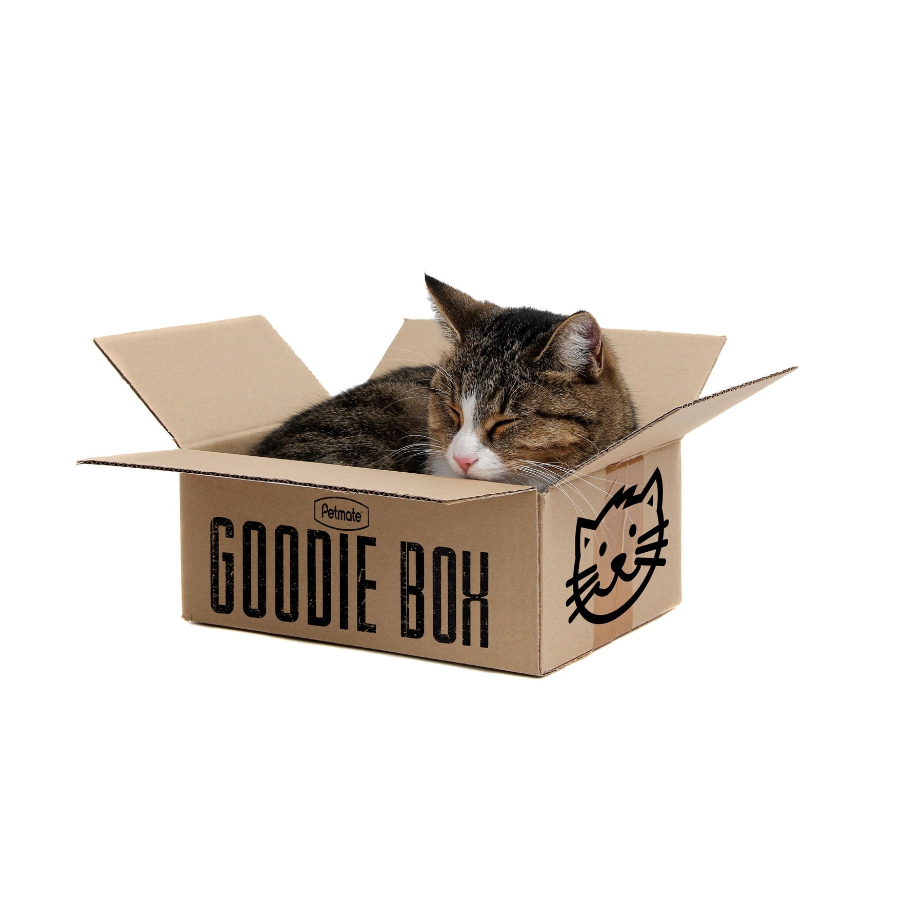 Petmate Goodie Box For Cats