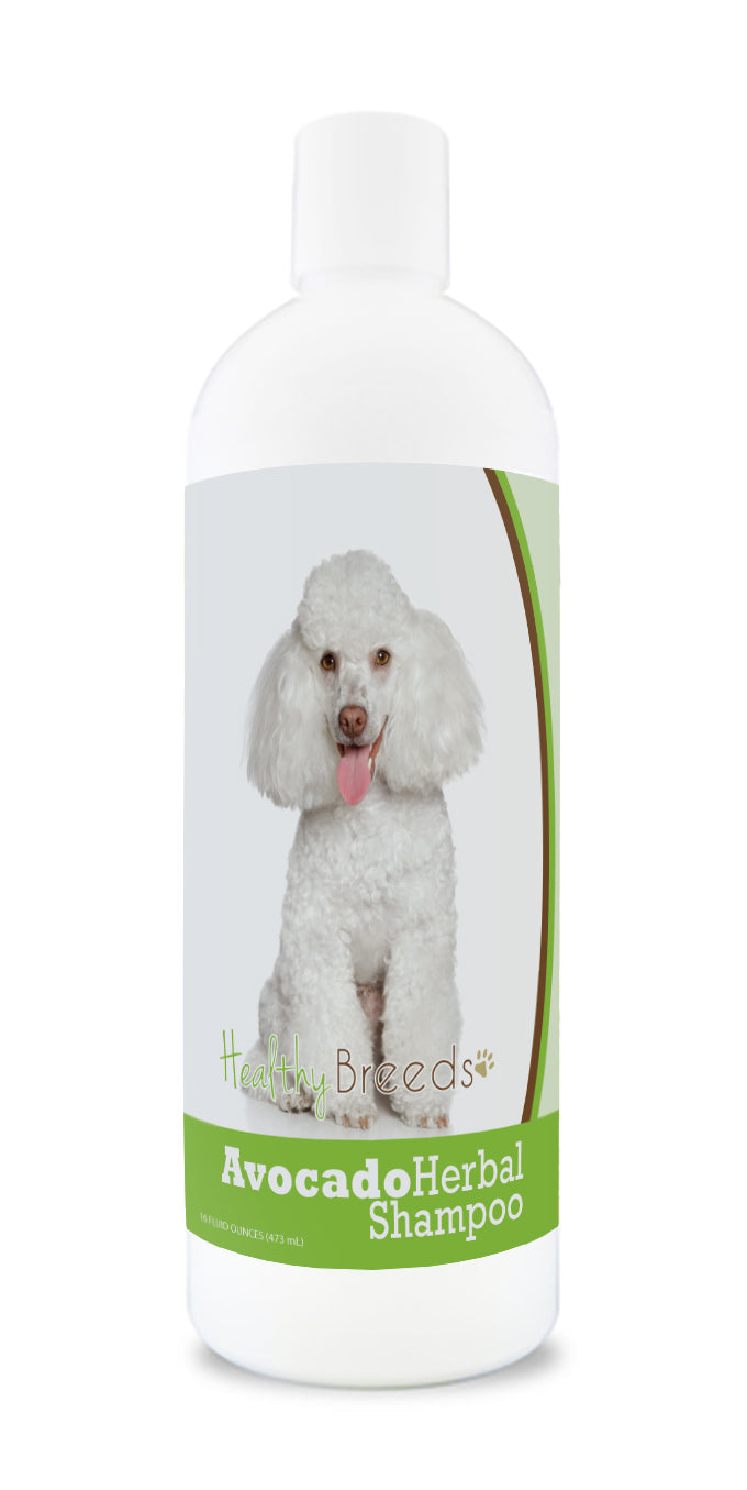 Healthy Breeds Poodle Avocado Herbal Dog Shampoo 16 oz