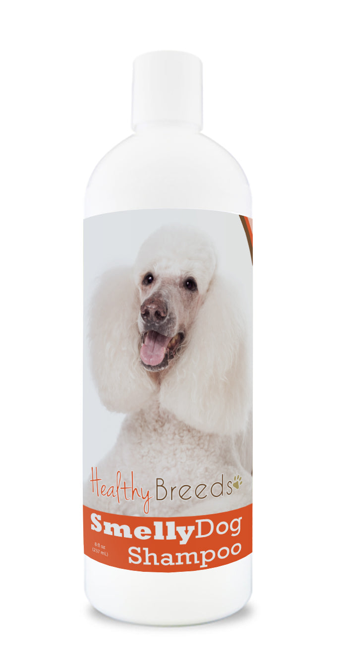 Poodle sales puppy shampoo