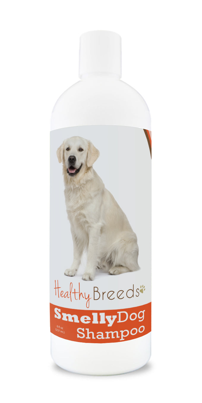 Golden retriever sales smelly