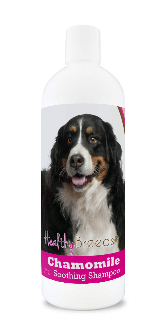 Healthy Breeds Bernese Mountain Dog Chamomile Soothing Dog Shampoo 8 oz