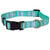 Aspen Pet Teal Stripe Fashion Dog Collar