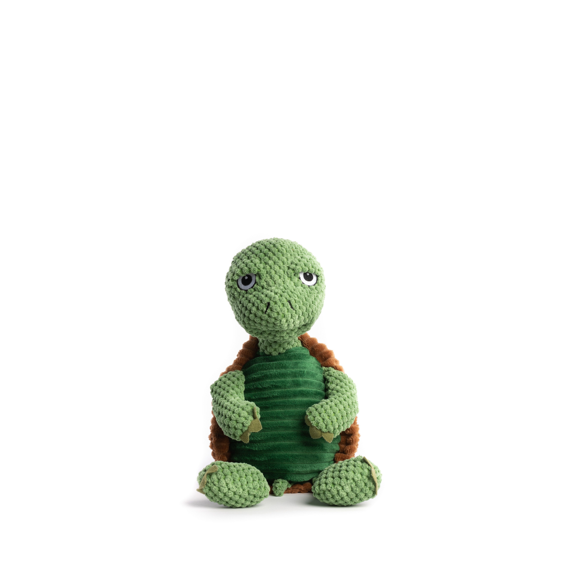 Floppy Turtle