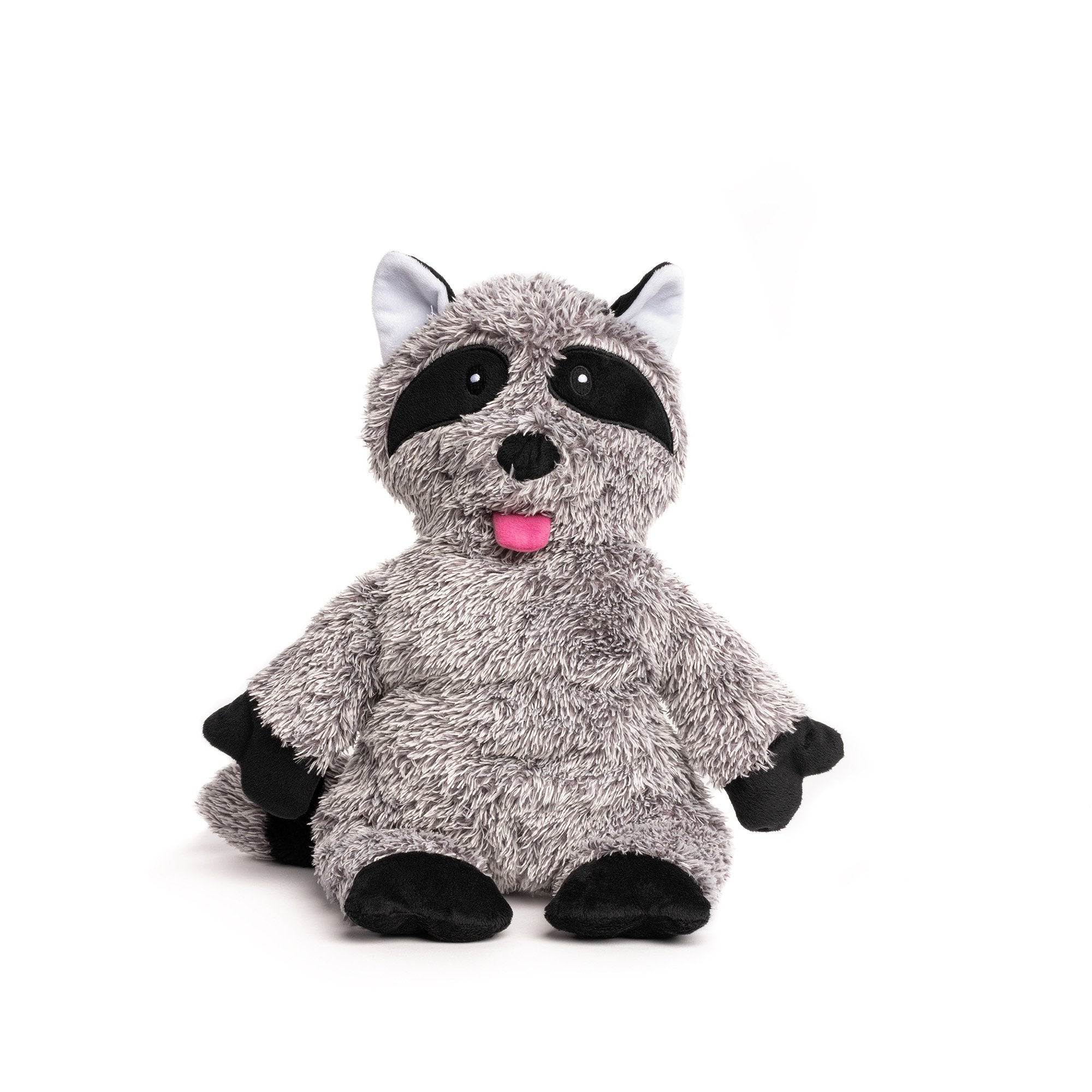 Fluffy Raccoon