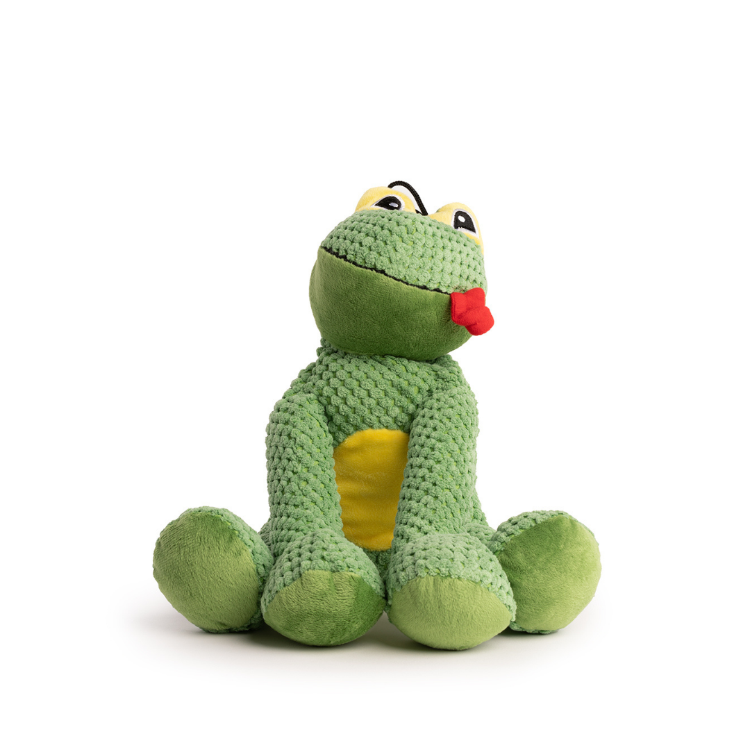 Floppy Frog