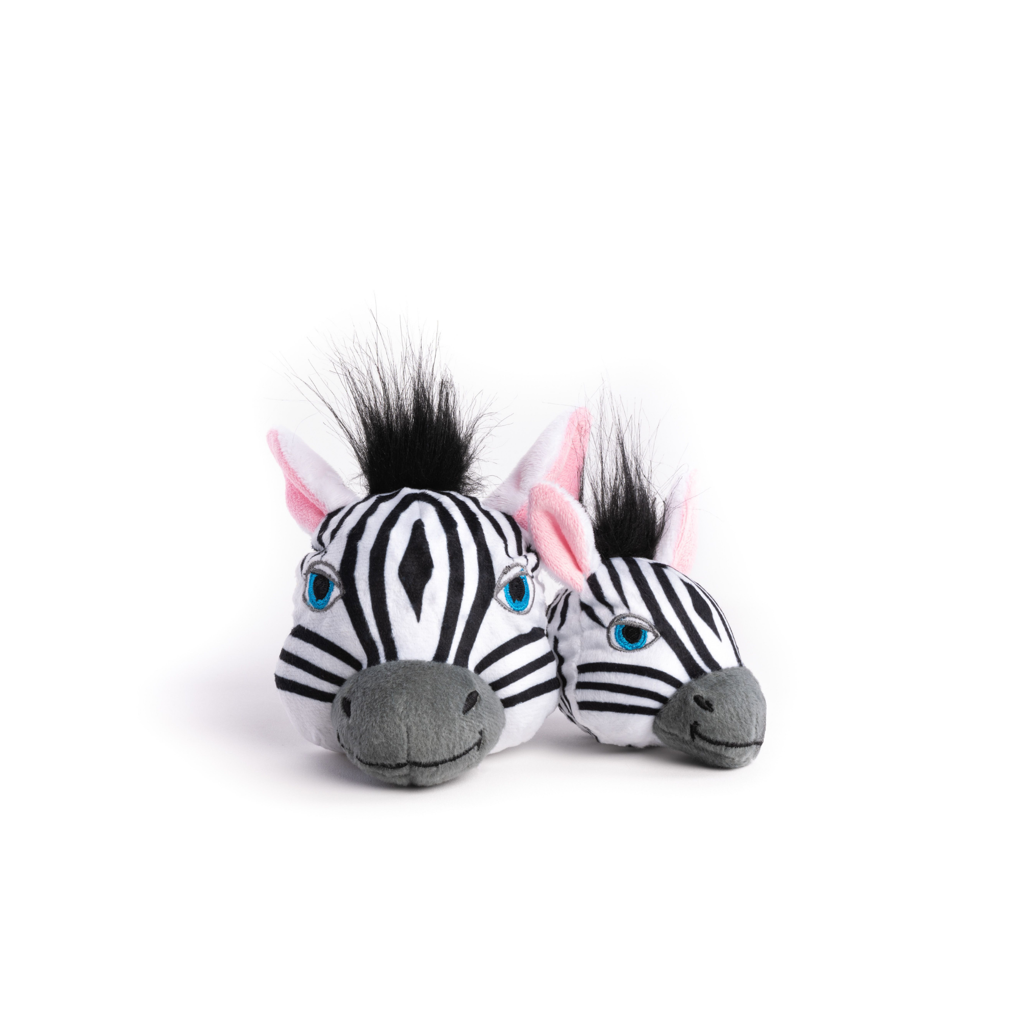 Zebra faball