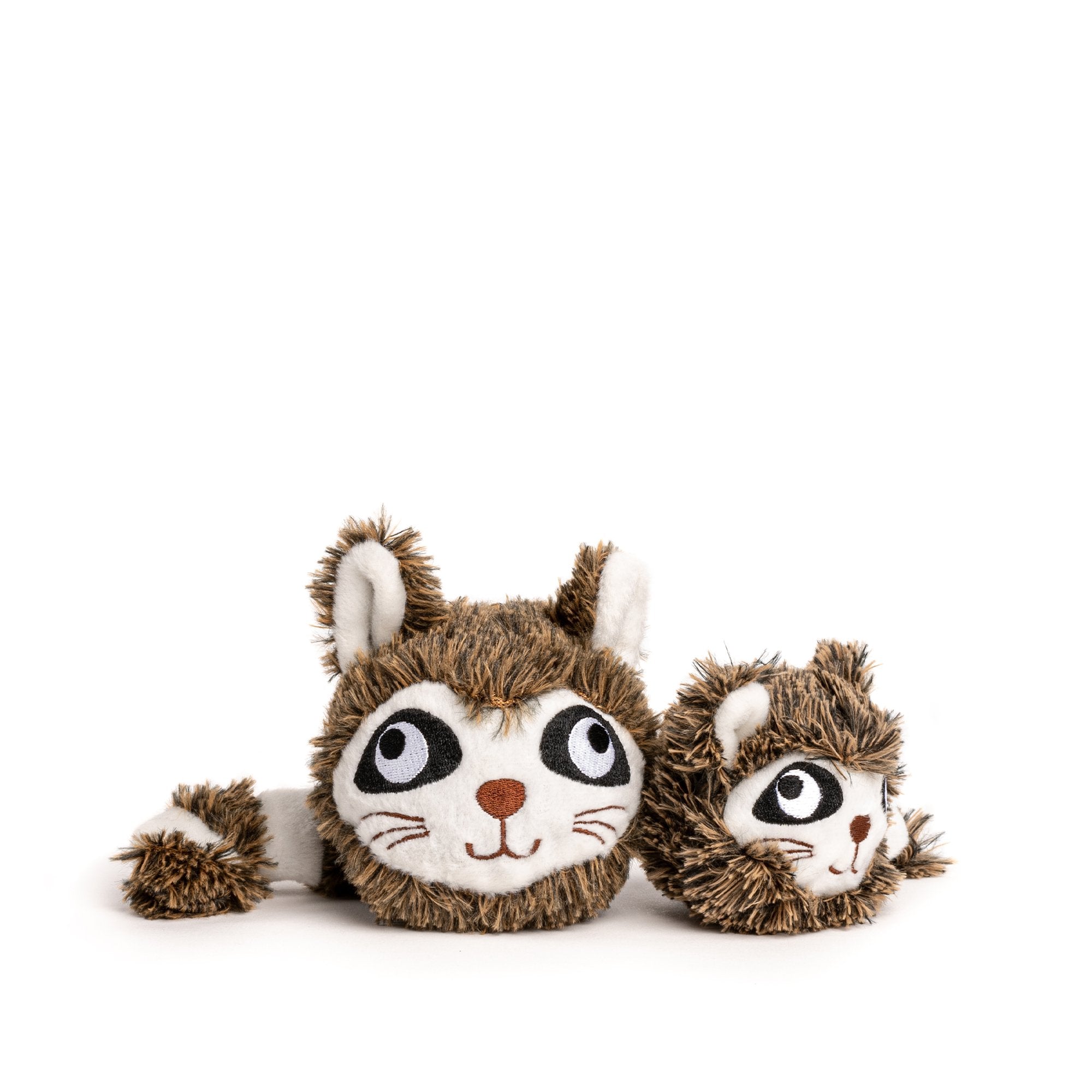 Raccoon faball